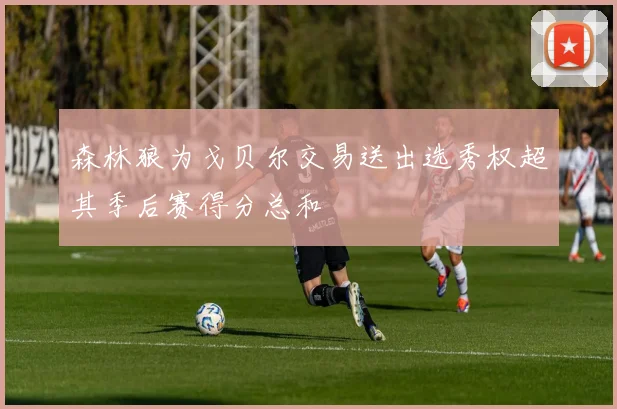 森林狼为戈贝尔交易送出选秀权超其季后赛得分总和