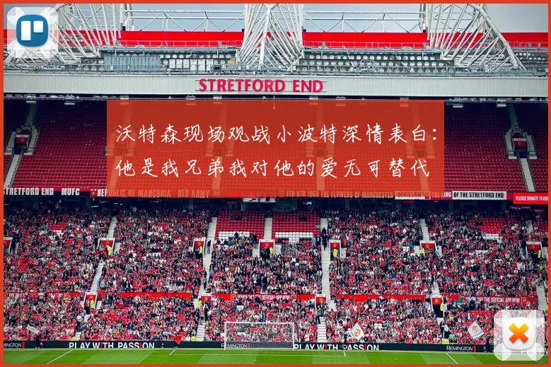 沃特森现场观战小波特深情表白：他是我兄弟我对他的爱无可替代