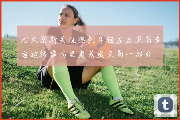尤文图斯关注热刺年轻左后卫乌多吉迪格雷戈里奥或成交易一部分