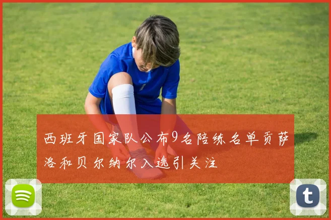 西班牙国家队公布9名陪练名单贡萨洛和贝尔纳尔入选引关注