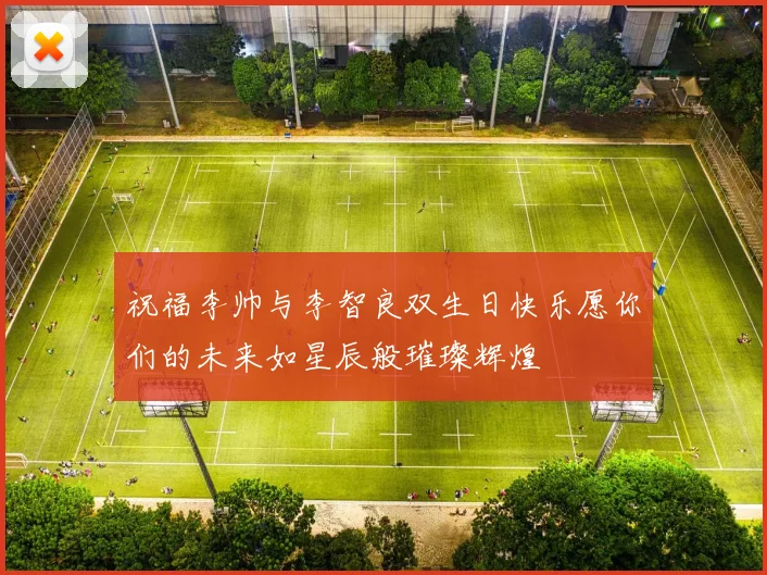 祝福李帅与李智良双生日快乐愿你们的未来如星辰般璀璨辉煌